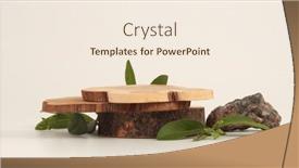  Presentation with rustic wood - Presentation enhanced with wooden-eco-rustic-pine-tree background and a  colored foreground