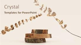  Presentation with rustic wood - Theme featuring wooden-eco-rustic-wood-circle background and a lemonade colored foreground