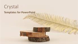  Presentation with rustic wood - PPT layouts consisting of wooden-eco-rustic-wood-circle background and a lemonade colored foreground