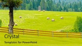  Presentation with hay field - Slide set having wooden fence with green field background and a gold colored foreground