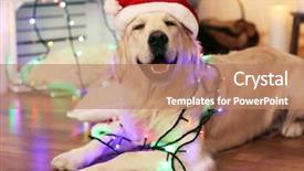  Presentation with christmas lights - Cool new presentation with wooden floor and christmas backdrop and a coral colored foreground