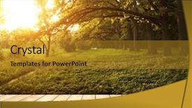  Presentation with avenue - Slides featuring wooden floor with planks background and a gold colored foreground