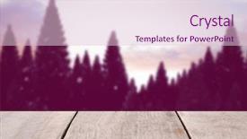  Presentation with tech - Presentation enhanced with wooden floor with tree background and a lemonade colored foreground