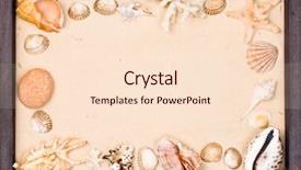  Presentation with starfish - Audience pleasing slides consisting of wooden frame with seashells and starfish on sand backdrop and a lemonade colored foreground