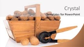  Presentation with harvest - Presentation design featuring wooden harvest baskets full walnuts isolated over white background background and a light gray colored foreground