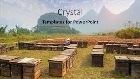  Presentation with outdoors - Cool new theme with wooden-hives-in-the-outdoors backdrop and a light blue colored foreground