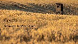  Presentation with hide - PPT layouts consisting of wooden-hunting-tower-amid-fields background and a gold colored foreground
