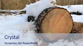  Presentation with forest winter - Slide deck featuring wooden log under snow background and a sky blue colored foreground