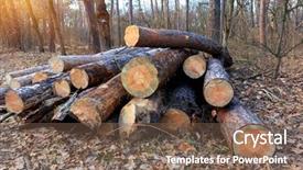  Presentation with barn wood autumn apples - Audience pleasing PPT theme consisting of wooden logs in autumn forest backdrop and a violet colored foreground