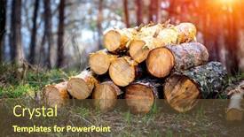  Presentation with sunshine - Slide deck with wooden-logs-in-spring-forest background and a tawny brown colored foreground