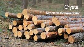  Presentation with pine forest - Theme with wooden logs store in pine background and a violet colored foreground