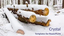  Presentation with pine forest - Presentation featuring wooden logs under snow in pine forest in winter time background and a sky blue colored foreground