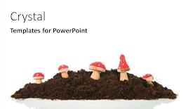  Presentation with flat earth on black - Colorful presentation design enhanced with wooden-mushrooms-in-black-earth backdrop and a white colored foreground