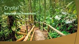  Presentation with tropical rainforest - PPT theme with wooden-path-in-rainforest-tropical background and a tawny brown colored foreground
