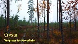  Presentation with trail - PPT theme featuring wooden path of hiking trail bruksleden in forest in autumn season nature of sweden background and a wine colored foreground
