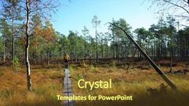  Presentation with wetland - Audience pleasing presentation consisting of wooden path on wetland backdrop and a tawny brown colored foreground