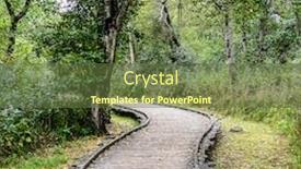  Presentation with pathway - PPT layouts consisting of wooden-pathway-over-the-forest background and a tawny brown colored foreground