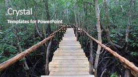  Presentation with pedestrian bridge - Amazing presentation theme having wooden pedestrian bridge in mangrove backdrop and a gray colored foreground