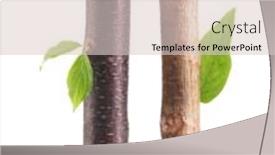  Presentation with pencils - Beautiful presentation design featuring wooden pencils with leaf isolated on white backdrop and a lemonade colored foreground