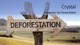  Presentation with deforestation - Colorful slides enhanced with wooden sign with a desert backdrop and a light blue colored foreground