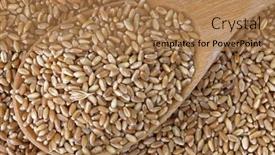  Presentation with grains - 
