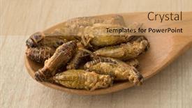  Presentation with snack - Slide deck having wooden-spoon-with-crispy background and a coral colored foreground