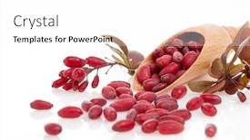  Presentation with barberry - PPT theme featuring wooden-spoon-with-ripe-red background and a white colored foreground