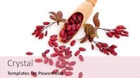  Presentation with barberry - Amazing PPT theme having wooden-spoon-with-ripe-red backdrop and a coral colored foreground