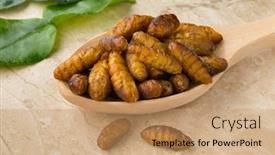  Presentation with lime - Slide set featuring wooden-spoons-with-crispy-silkworms background and a coral colored foreground