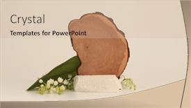  Presentation with minimal - PPT layouts enhanced with wooden-stump-and-stone-platform background and a soft green colored foreground