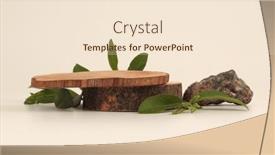  Presentation with wood rustic - PPT theme featuring wooden-stump-eco-rustic-wood background and a lemonade colored foreground