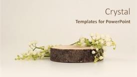  Presentation with minimal - Slides consisting of wooden-stump-platform-podium background and a sky blue colored foreground