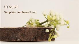  Presentation with lily - Presentation theme with wooden-stump-platform-podium background and a sky blue colored foreground