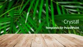  Presentation with green leaves - Presentation theme enhanced with wooden-surface-on-background background and a forest green colored foreground