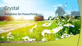  Presentation with wood - Slides having wooden table - wood textured backgrounds background and a cool aqua colored foreground