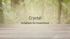  Presentation with tropical forest - PPT theme enhanced with wooden table in tropical forest background and a soft green colored foreground