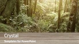  Presentation with tropical forest - Slide set enhanced with wooden table in tropical forest background and a coral colored foreground