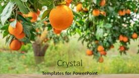  Presentation with orange - Slide set with wooden-table-top-ander-orange background and a yellow colored foreground