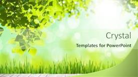  Presentation with product - Slide deck having wooden-table-with-copy-space background and a soft green colored foreground