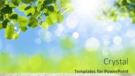  Presentation with product - Presentation featuring wooden-table-with-copy-space background and a yellow colored foreground