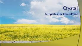  Presentation with rapeseed - Audience pleasing presentation consisting of wooden table with rapeseed field backdrop and a lemonade colored foreground