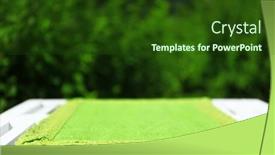  Presentation with tablecloth - 