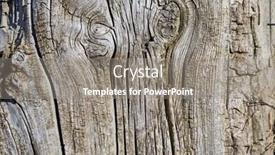  Presentation with tree root - Audience pleasing presentation design consisting of wooden texture of a very old tree root backdrop and a gray colored foreground