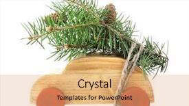  Presentation with wooden toy - PPT theme consisting of wooden toy car with fir background and a coral colored foreground
