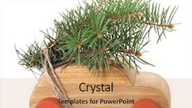  Presentation with wooden toy - PPT theme featuring wooden toy car with fir background and a coral colored foreground