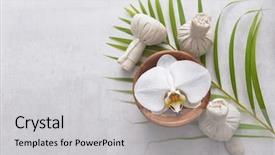  Presentation with vitamins on wooden herbal - Colorful presentation theme enhanced with wooden tray in round backdrop and a light gray colored foreground