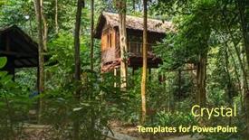  Presentation with rainforest - Slide deck featuring wooden-tree-house-bungalow background and a tawny brown colored foreground