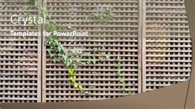  Presentation with wooden - Presentation theme featuring wooden-trellised-fence-partially-overgrown background and a gray colored foreground