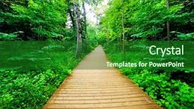  Presentation with peaceful - Amazing presentation theme having fall themes - wooden way in green forest backdrop and a forest green colored foreground