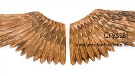  Presentation with flowers on white wooden - Colorful slides enhanced with wooden wings isolated on white backdrop and a  colored foreground